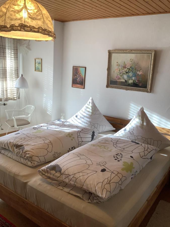 Appartamento Haus Liesal Spiegelau Esterno foto