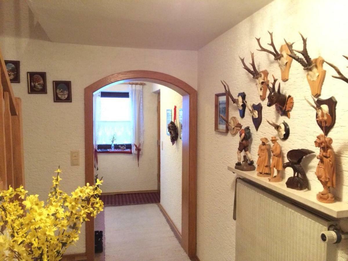 Appartamento Haus Liesal Spiegelau Esterno foto